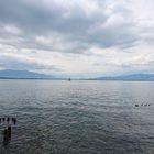 Bodensee