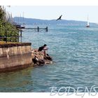 Bodensee