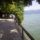 Bodensee die Farbe des Wassers bei bestem Wetter