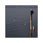 _ bODENsEE _