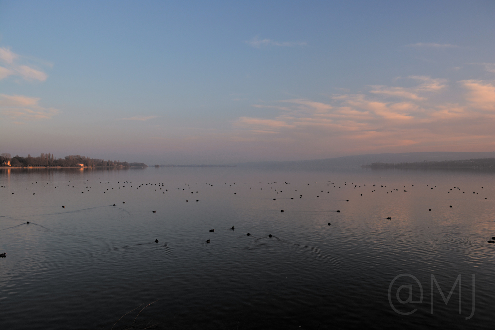 Bodensee 