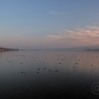 Bodensee 