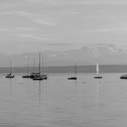 Bodensee