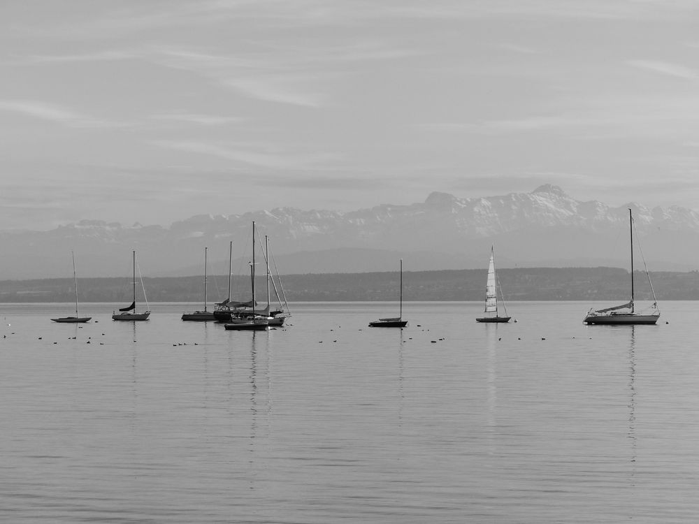 Bodensee