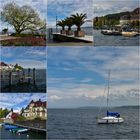 Bodensee