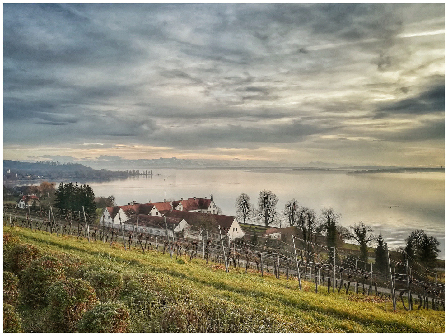 Bodensee