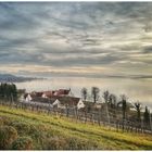 Bodensee