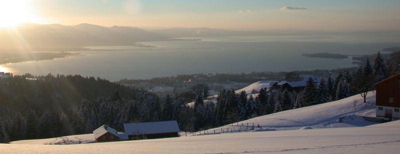 Bodensee ... ein Wintermärchen