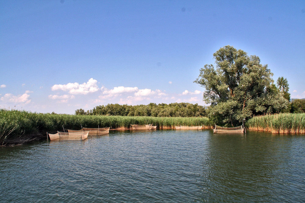 Bodensee Einfahrt Fußach