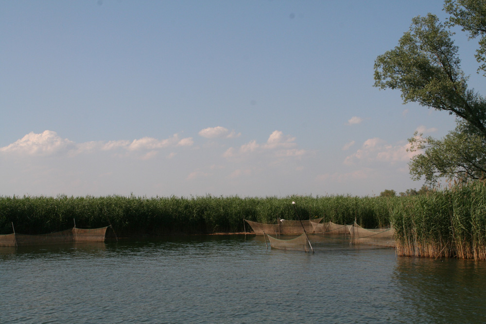 Bodensee Fahrrinne nach Fußach