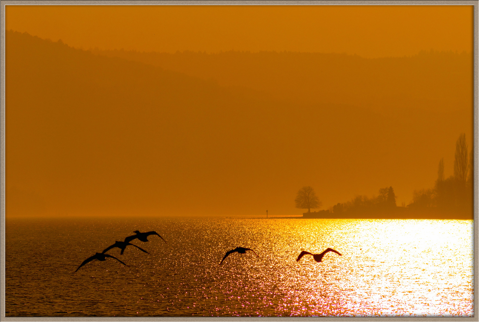 Bodensee, Februar, Abend