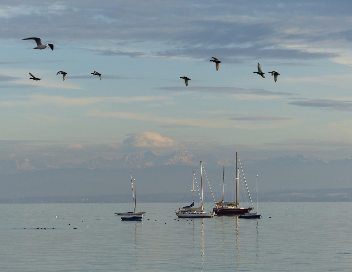 Bodensee