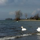 Bodensee