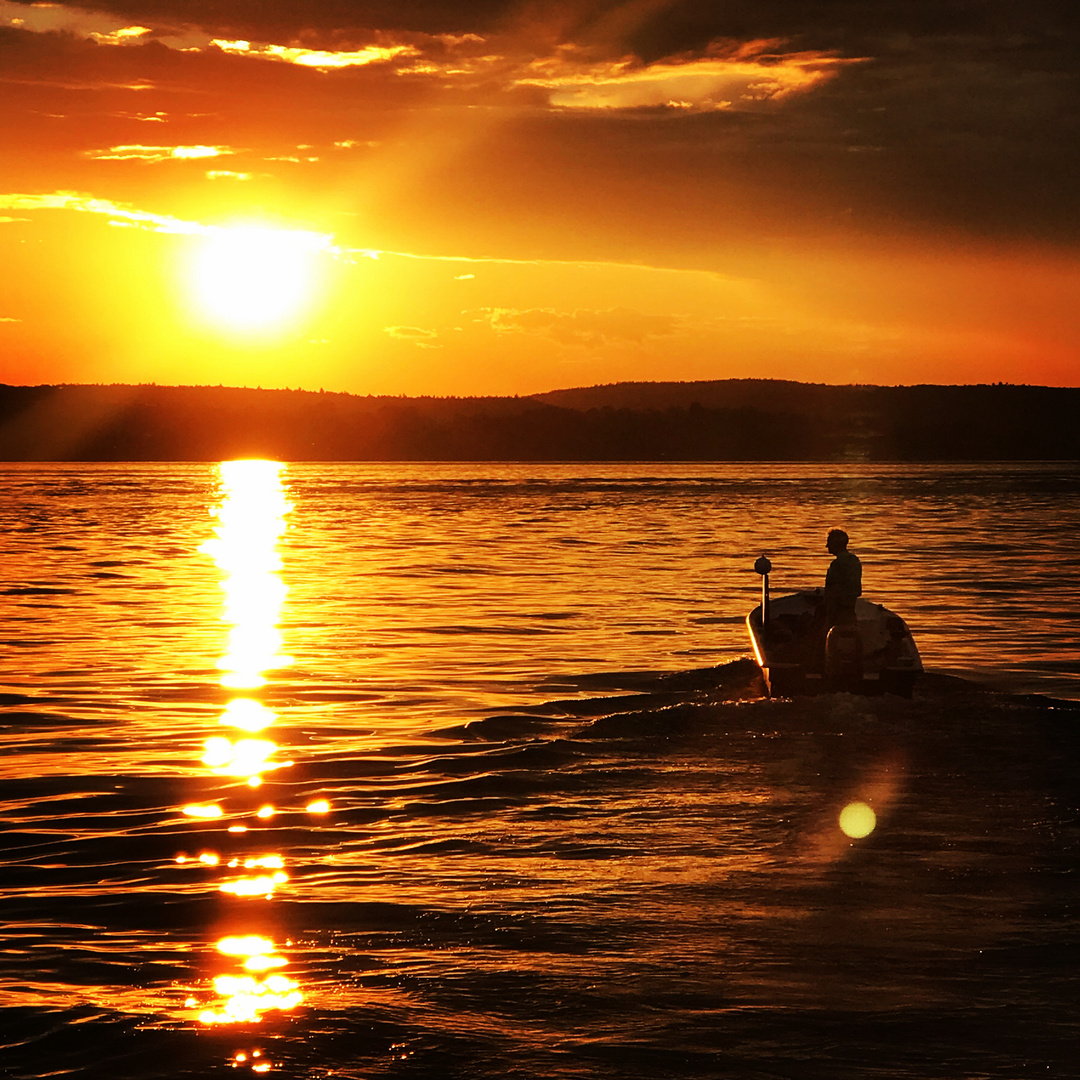 Bodensee-Fischer 