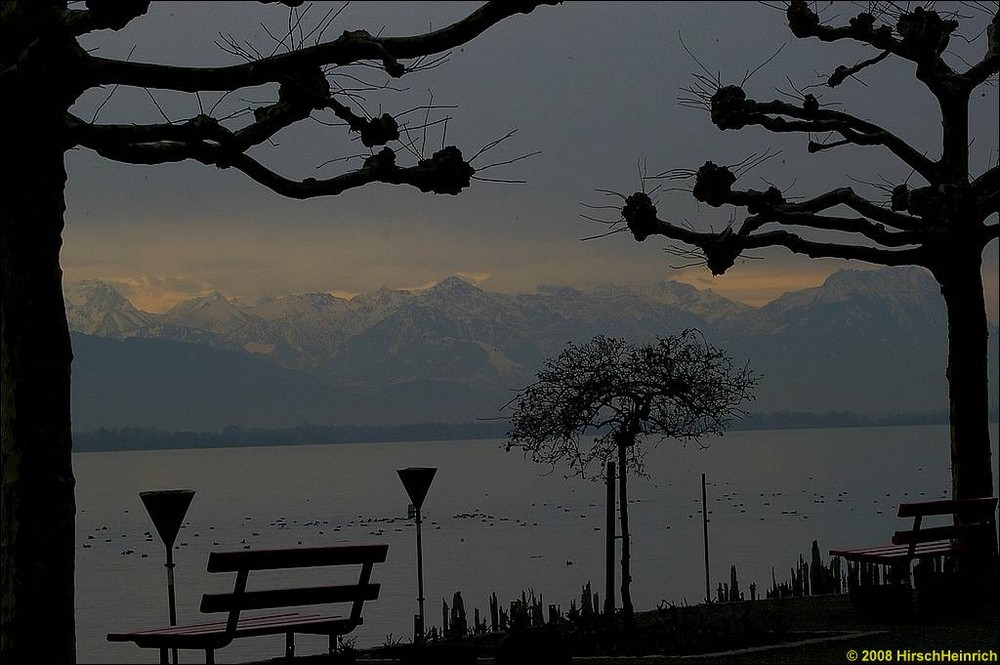 Bodensee - Friedrichshafen