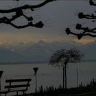 Bodensee - Friedrichshafen