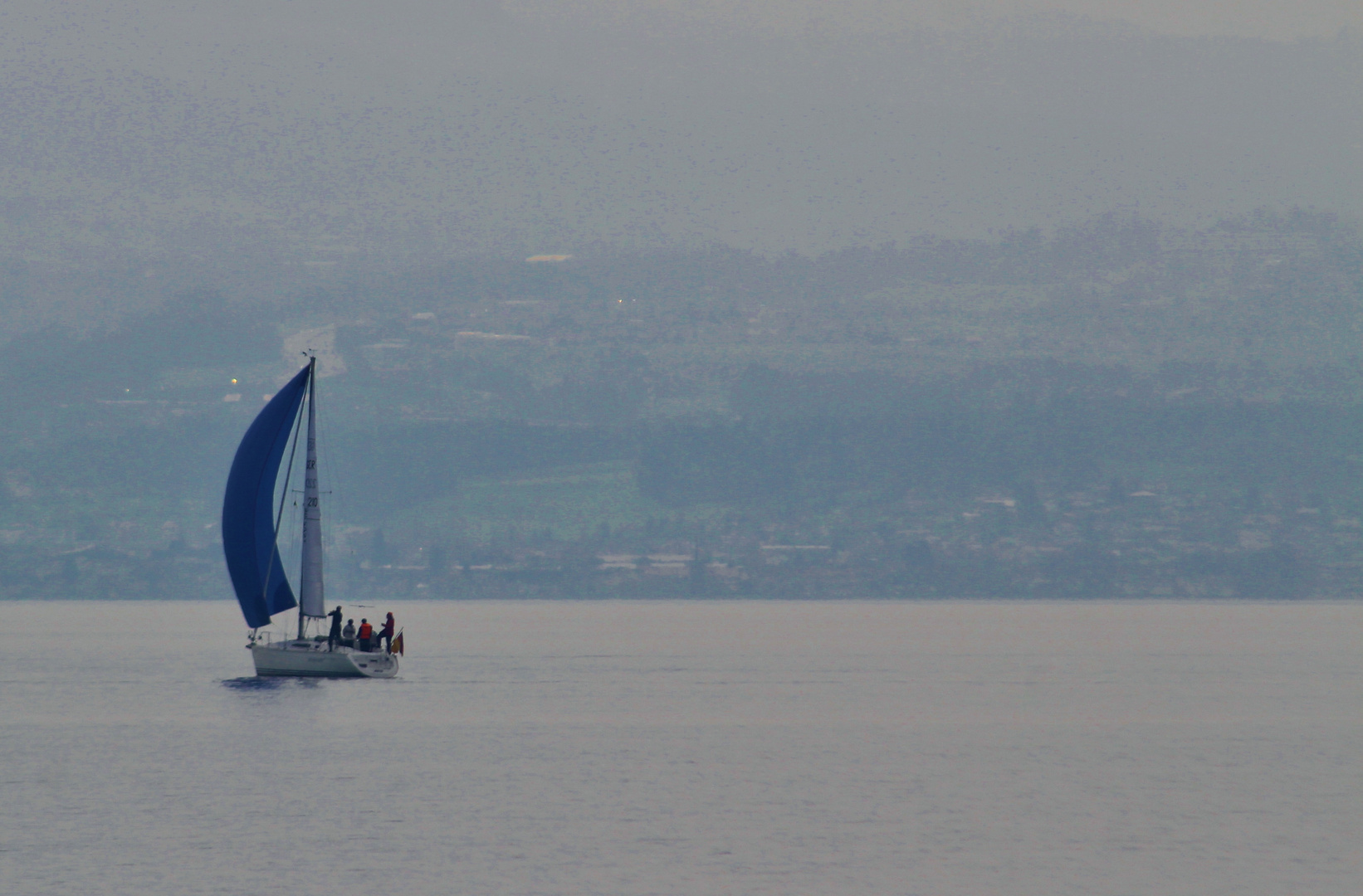 Bodensee Gedanken 