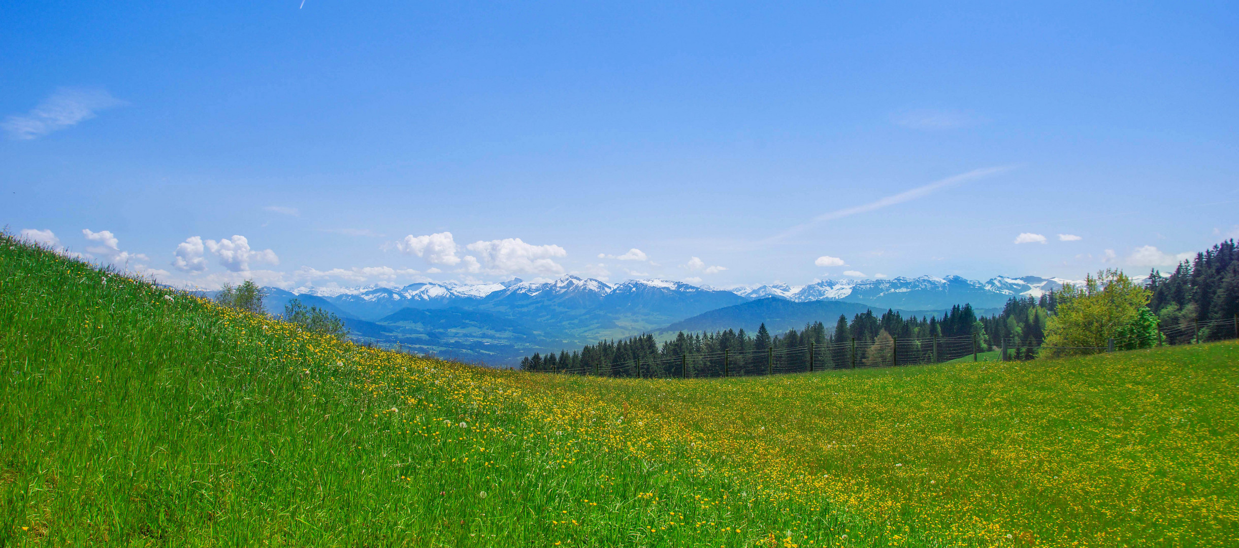 Bodensee Germany