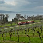 Bodensee-Gürtelbahn