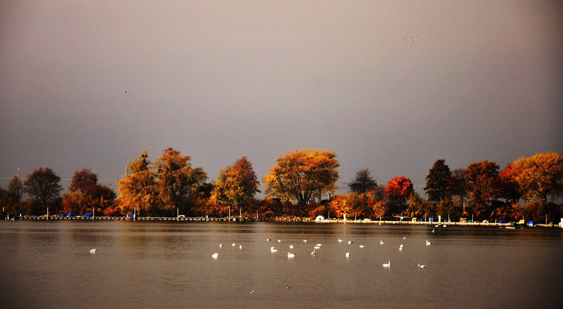 Bodensee Herbst