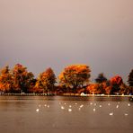 Bodensee Herbst