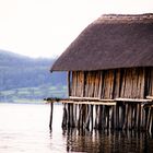 Bodensee - Hütte