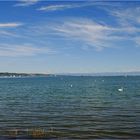 Bodensee-Idylle