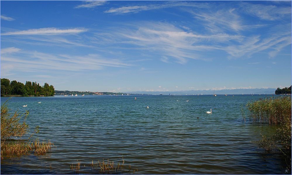 Bodensee-Idylle