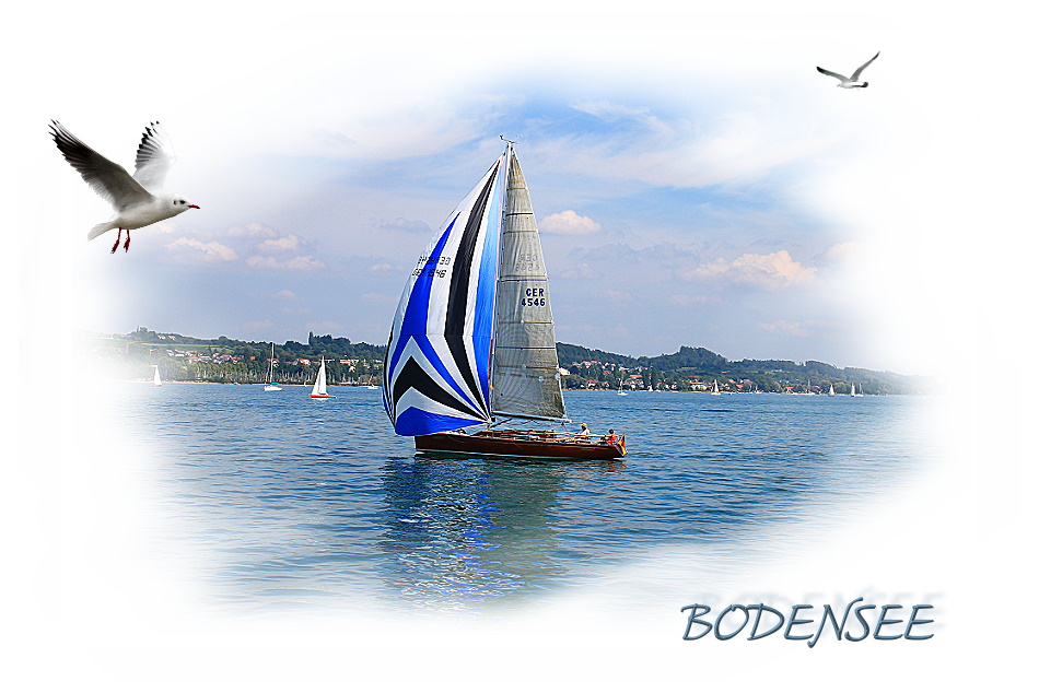 Bodensee II