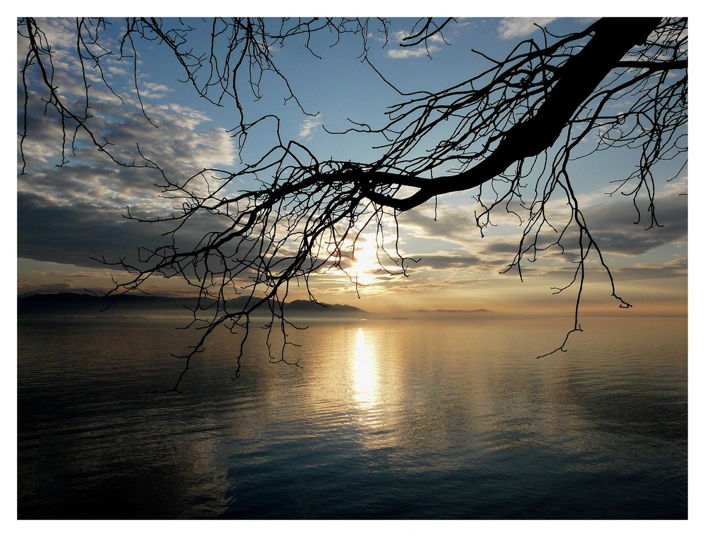 Bodensee II