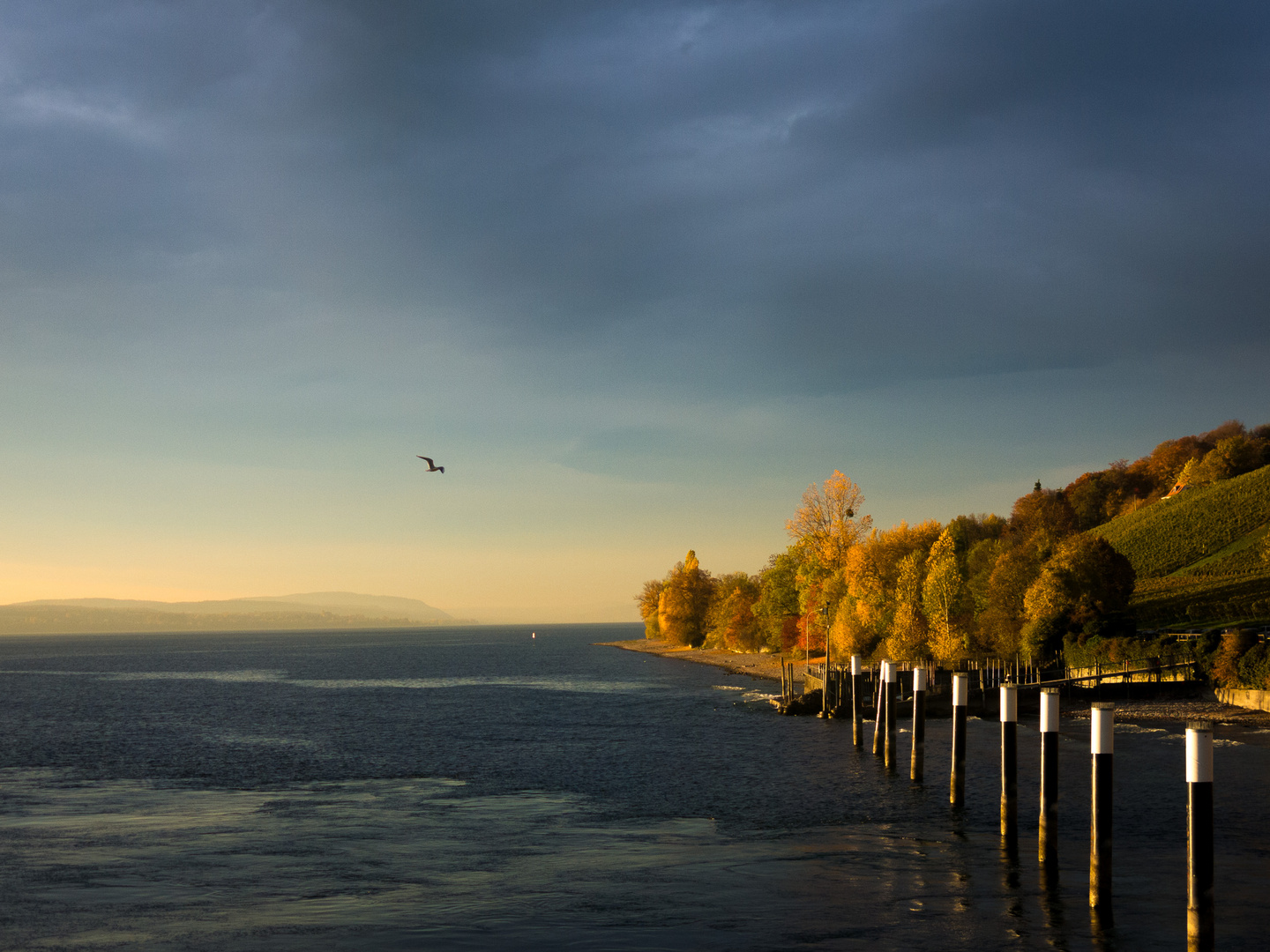 Bodensee II