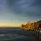 Bodensee II