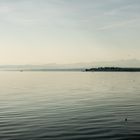 Bodensee III