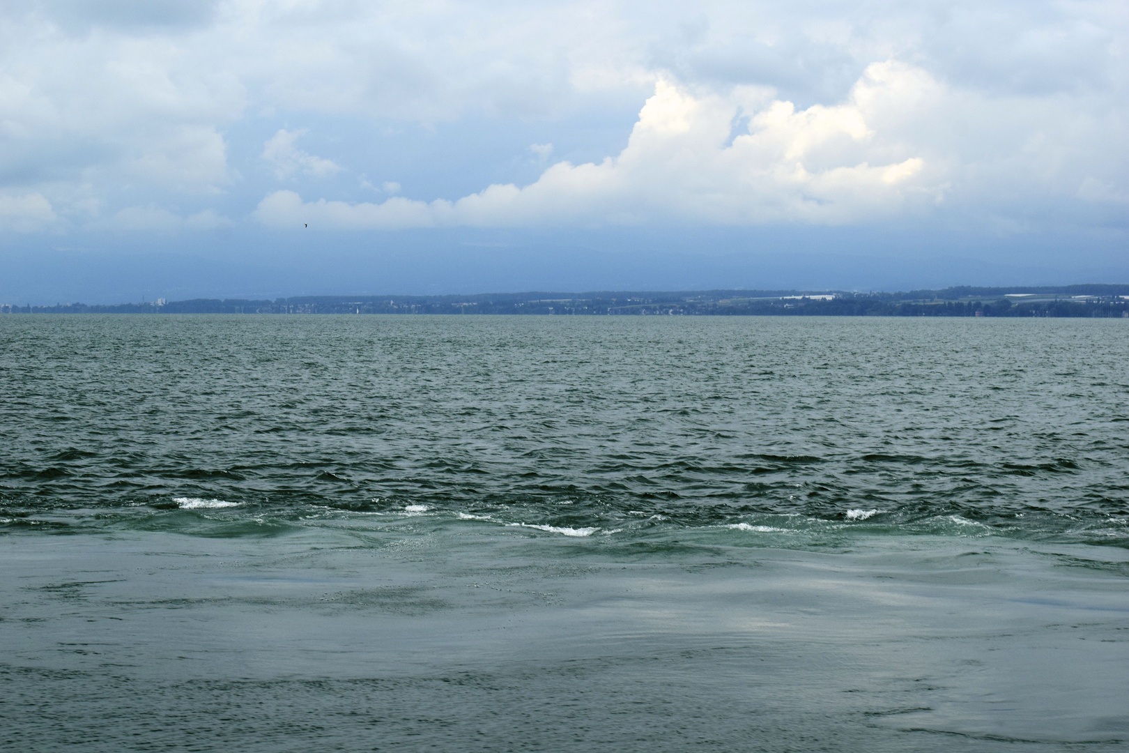 Bodensee im August