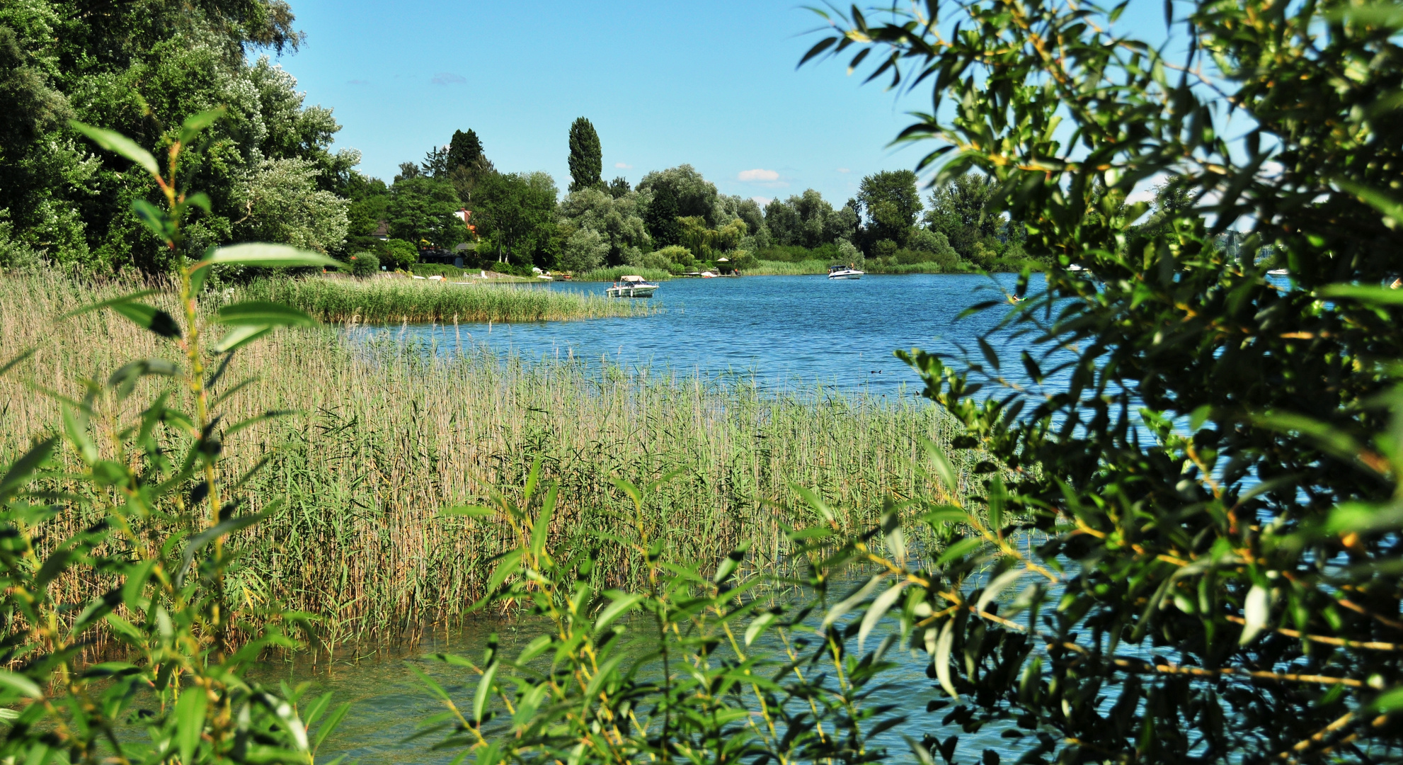 Bodensee im August