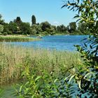 Bodensee im August