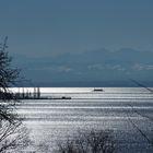 Bodensee im Februar