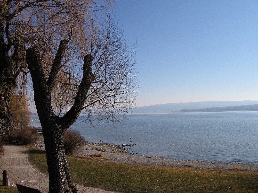 Bodensee im Frühling Foto & Bild landschaft, bach, fluss & see, see