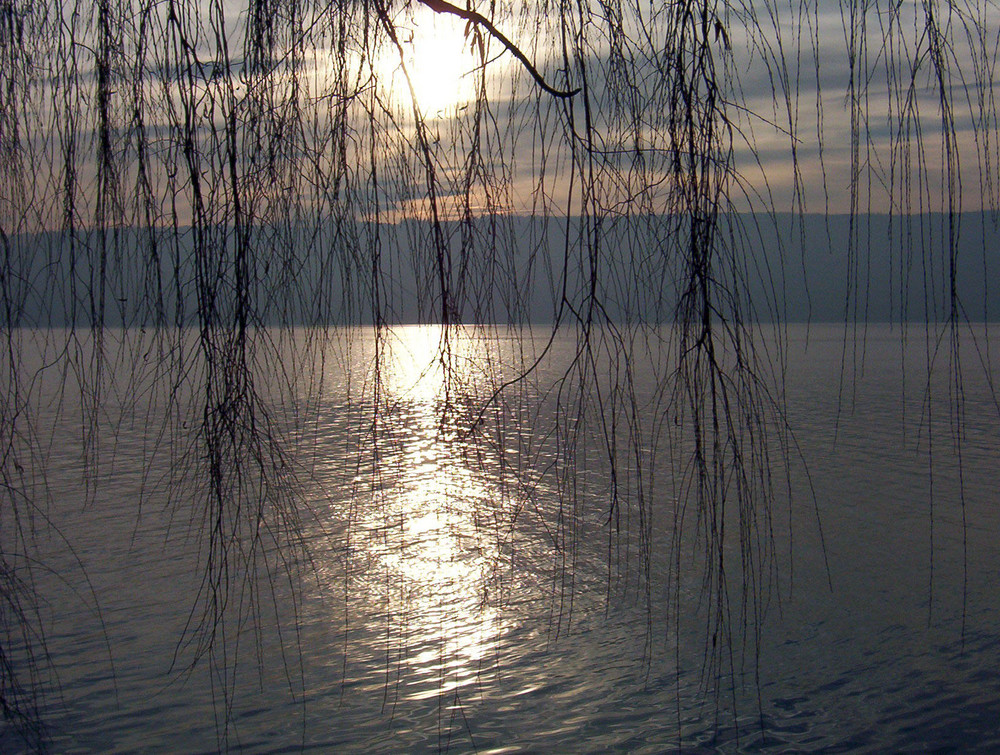 Bodensee im Herbst 1