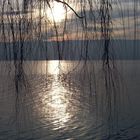 Bodensee im Herbst 1