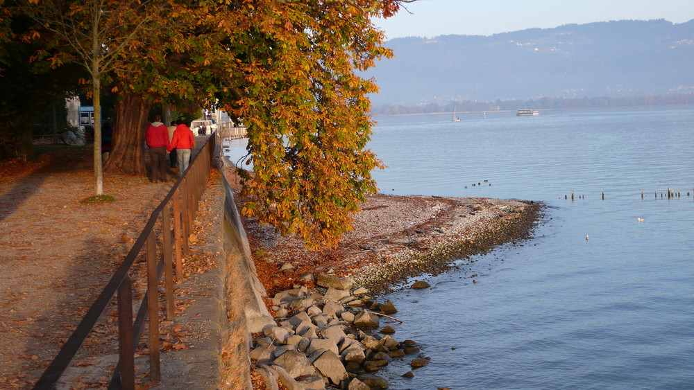 Bodensee im Herbst