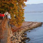 Bodensee im Herbst