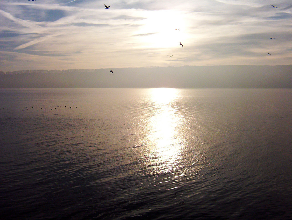 Bodensee im Herbst 2