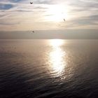 Bodensee im Herbst 2