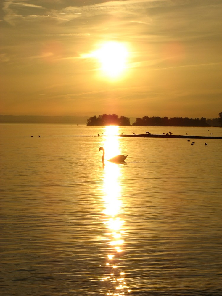 Bodensee im Herbst 3