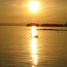 Bodensee im Herbst 3