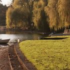 Bodensee im Herbst