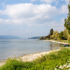 Bodensee im Herbst