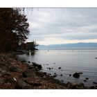 Bodensee im Herbst