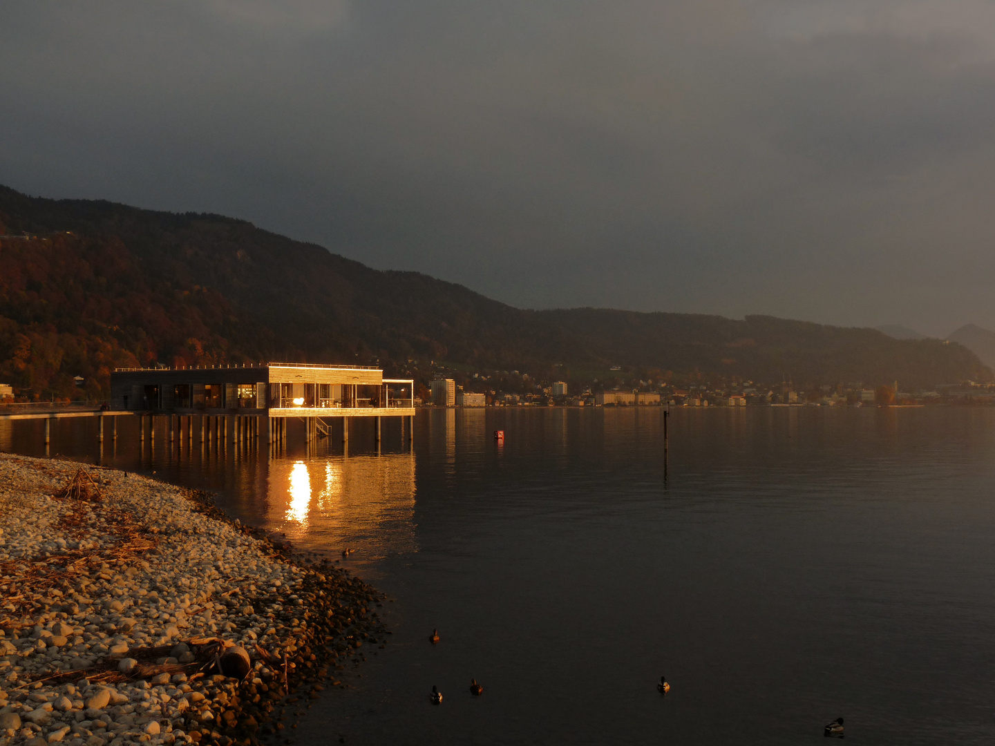 Bodensee im Herbst